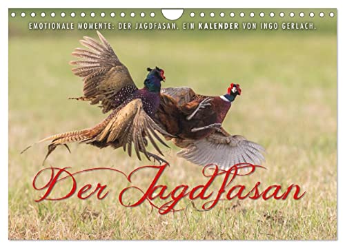 Emotionale Momente: Der Jagdfasan. (Wandkalender 2025 DIN A4 quer), CALVENDO Monatskalender von CALVENDO