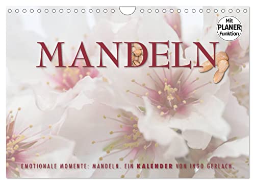 Emotionale Momente: Mandeln (Wandkalender 2025 DIN A4 quer), CALVENDO Monatskalender: Ingo Gerlach hat die Mandelblüte auf Mallorca und die Früchte ... Bäume fotografiert. (CALVENDO Lifestyle) von CALVENDO