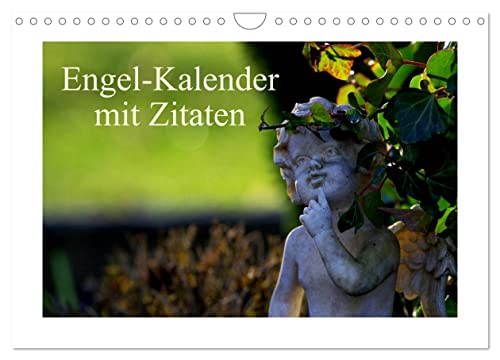 Engel-Kalender mit Zitaten/CH-Version (Wandkalender 2025 DIN A4 quer), CALVENDO Monatskalender von CALVENDO