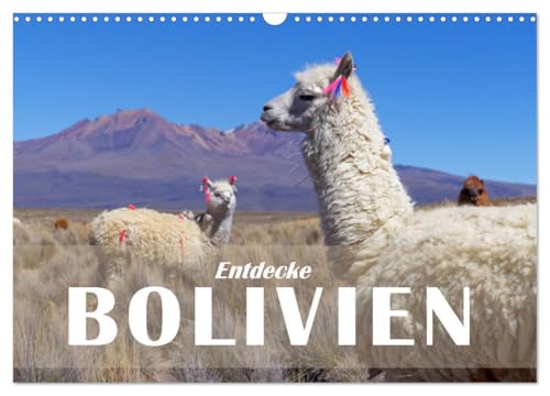 Entdecke Bolivien (Wandkalender 2025 DIN A3 quer), CALVENDO Monatskalender von CALVENDO