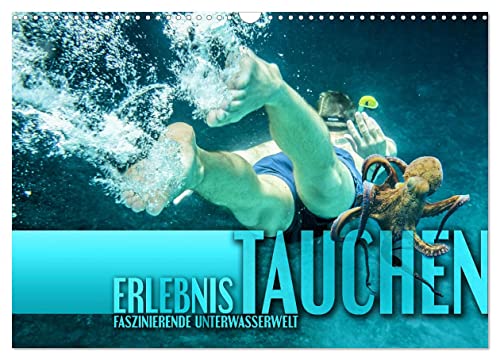 Erlebnis Tauchen - faszinierende Unterwasserwelt (Wandkalender 2025 DIN A3 quer), CALVENDO Monatskalender von CALVENDO