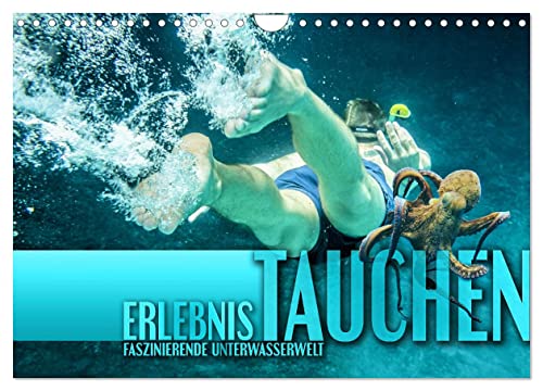 Erlebnis Tauchen - faszinierende Unterwasserwelt (Wandkalender 2025 DIN A4 quer), CALVENDO Monatskalender von CALVENDO