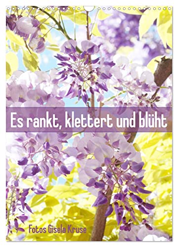 Es rankt, klettert und blüht (Wandkalender 2025 DIN A3 hoch), CALVENDO Monatskalender von CALVENDO
