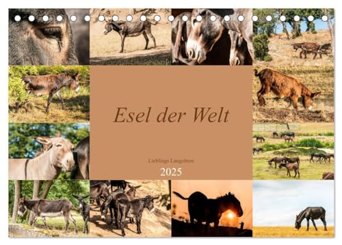 Esel der Welt - Lieblings Langohren (Tischkalender 2025 DIN A5 quer), CALVENDO Monatskalender: Seltene Eselrassen der Kulturen (CALVENDO Tiere) von CALVENDO