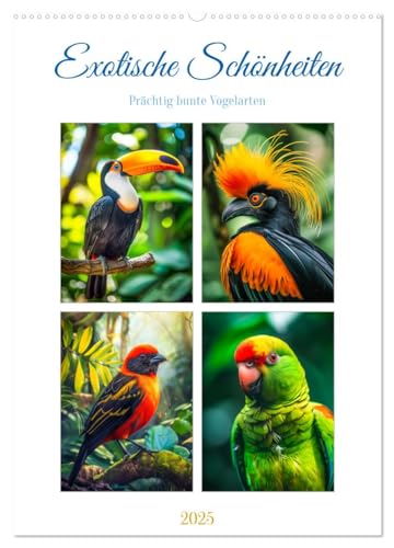 Exotische Schönheiten - prächtig bunte Vögel (Wandkalender 2025 DIN A2 hoch), CALVENDO Monatskalender von CALVENDO