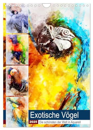 Exotische Vögel - Die Schönsten der Welt in Aquarell (Wandkalender 2025 DIN A4 hoch), CALVENDO Monatskalender von CALVENDO