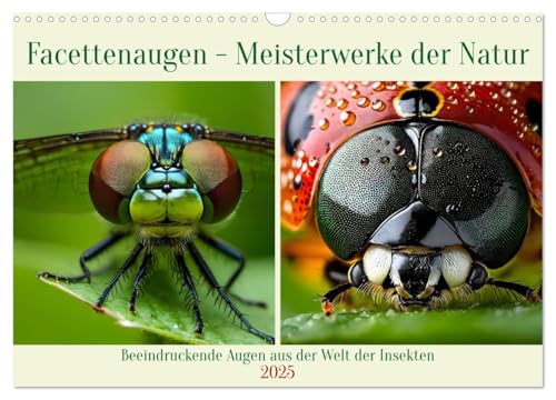 Facettenaugen - Meisterwerke der Natur (Wandkalender 2025 DIN A3 quer), CALVENDO Monatskalender von CALVENDO