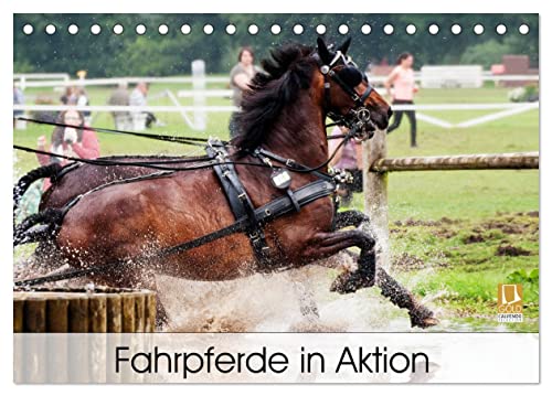 Fahrpferde in Aktion (Tischkalender 2025 DIN A5 quer), CALVENDO Monatskalender von CALVENDO