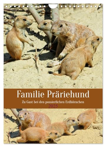 Familie Präriehund (Wandkalender 2025 DIN A4 hoch), CALVENDO Monatskalender von CALVENDO