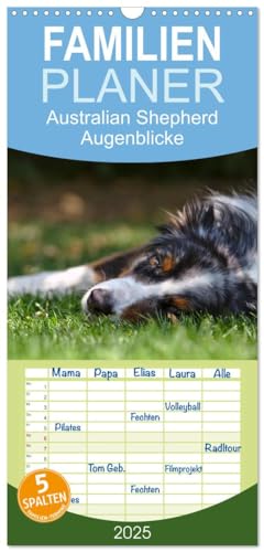 Familienplaner 2025 - Australian Shepherd - Augenblicke mit 5 Spalten (Wandkalender, 21 cm x 45 cm), CALVENDO von CALVENDO