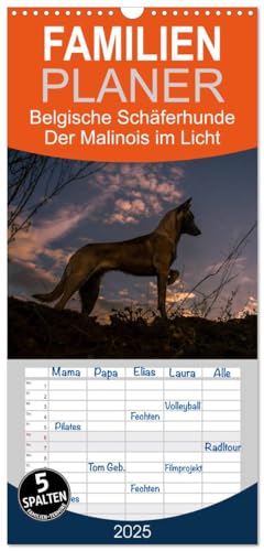 Familienplaner 2025 - Belgische Schäferhunde - Der Malinois im Licht mit 5 Spalten (Wandkalender, 21 cm x 45 cm), CALVENDO von CALVENDO