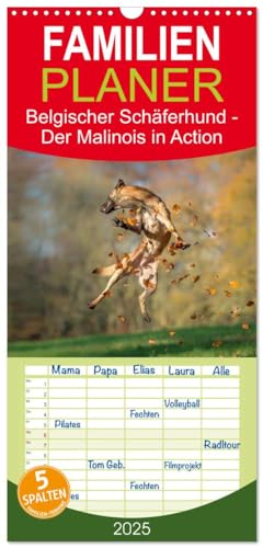 Familienplaner 2025 - Belgischer Schäferhund - Der Malinois in Action mit 5 Spalten (Wandkalender, 21 cm x 45 cm), CALVENDO von CALVENDO