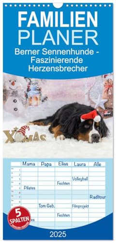 Familienplaner 2025 - Berner Sennenhunde - Faszinierende Herzensbrecher mit 5 Spalten (Wandkalender, 21 cm x 45 cm), CALVENDO von CALVENDO