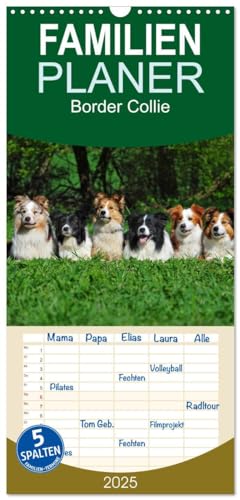 Familienplaner 2025 - Border Collie 2025 mit 5 Spalten (Wandkalender, 21 cm x 45 cm), CALVENDO von CALVENDO