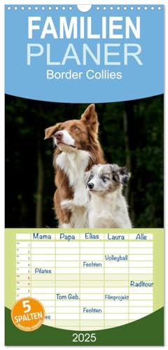 Familienplaner 2025 - Border Collies 2025 mit 5 Spalten (Wandkalender, 21 cm x 45 cm), CALVENDO von CALVENDO