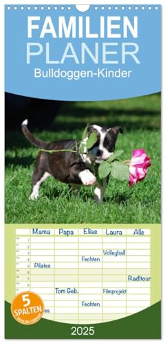 Familienplaner 2025 - Bulldoggen-Kinder mit 5 Spalten (Wandkalender, 21 cm x 45 cm), CALVENDO von CALVENDO