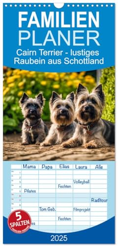 Familienplaner 2025 - Cairn Terrier - lustiges Raubein aus Schottland mit 5 Spalten (Wandkalender, 21 cm x 45 cm), CALVENDO von CALVENDO