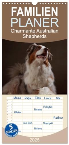 Familienplaner 2025 - Charmante Australian Shepherds mit 5 Spalten (Wandkalender, 21 cm x 45 cm), CALVENDO von CALVENDO