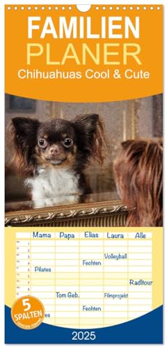 Familienplaner 2025 - Chihuahuas - Cool and Cute mit 5 Spalten (Wandkalender, 21 cm x 45 cm), CALVENDO von CALVENDO