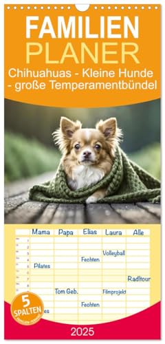 Familienplaner 2025 - Chihuahuas - Kleine Hunde - große Temperamentbündel mit 5 Spalten (Wandkalender, 21 cm x 45 cm), CALVENDO
