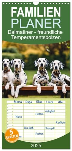 Familienplaner 2025 - Dalmatiner - freundliche Temperamentsbolzen mit 5 Spalten (Wandkalender, 21 cm x 45 cm), CALVENDO von CALVENDO