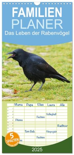 Familienplaner 2025 - Das Leben der Rabenvögel mit 5 Spalten (Wandkalender, 21 cm x 45 cm), CALVENDO von CALVENDO