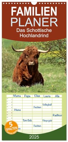 Familienplaner 2025 - Das Schottische Hochlandrind mit 5 Spalten (Wandkalender, 21 cm x 45 cm), CALVENDO von CALVENDO