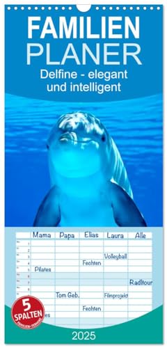 Familienplaner 2025 - Delfine - elegant und intelligent mit 5 Spalten (Wandkalender, 21 cm x 45 cm), CALVENDO