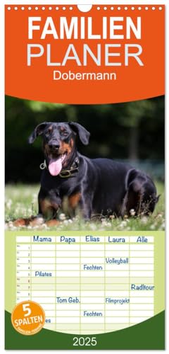 Familienplaner 2025 - Dobermann mit 5 Spalten (Wandkalender, 21 cm x 45 cm), CALVENDO von CALVENDO