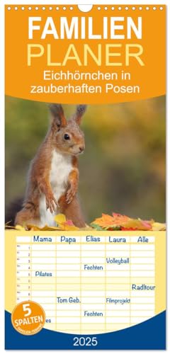Familienplaner 2025 - Eichhörnchen in zauberhaften Posen mit 5 Spalten (Wandkalender, 21 cm x 45 cm), CALVENDO