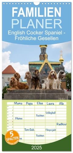 Familienplaner 2025 - English Cocker Spaniel - Fröhliche Gesellen mit 5 Spalten (Wandkalender, 21 cm x 45 cm), CALVENDO von CALVENDO