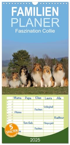Familienplaner 2025 - Faszination Collie 2025 mit 5 Spalten (Wandkalender, 21 cm x 45 cm), CALVENDO von CALVENDO