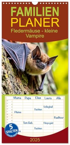 Familienplaner 2025 - Fledermäuse - kleine Vampire mit 5 Spalten (Wandkalender, 21 cm x 45 cm), CALVENDO von CALVENDO