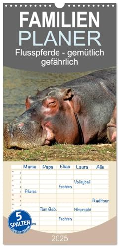 Familienplaner 2025 - Flusspferde - gemütlich gefährlich mit 5 Spalten (Wandkalender, 21 cm x 45 cm), CALVENDO von CALVENDO