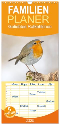 Familienplaner 2025 - Geliebtes Rotkehlchen mit 5 Spalten (Wandkalender, 21 cm x 45 cm), CALVENDO von CALVENDO
