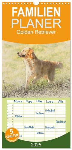 Familienplaner 2025 - Golden Retriever mit 5 Spalten (Wandkalender, 21 cm x 45 cm), CALVENDO von CALVENDO