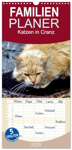 Familienplaner 2025 - Katzen in Cranz mit 5 Spalten (Wandkalender, 21 cm x 45 cm), CALVENDO von CALVENDO