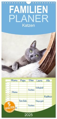 Familienplaner 2025 - Katzen mit 5 Spalten (Wandkalender, 21 cm x 45 cm), CALVENDO von CALVENDO