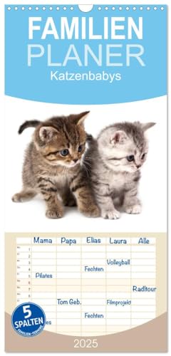 Familienplaner 2025 - Katzenbabys mit 5 Spalten (Wandkalender, 21 cm x 45 cm), CALVENDO von CALVENDO