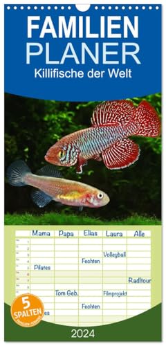 Familienplaner 2025 - Killifische der Welt mit 5 Spalten (Wandkalender, 21 x 45 cm) CALVENDO: Farbenprächtige, außergewöhnliche Aquarienfische überraschen Experten und Laien. (CALVENDO Tiere) von CALVENDO