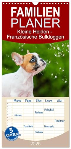 Familienplaner 2025 - Kleine Helden - Französische Bulldoggen mit 5 Spalten (Wandkalender, 21 cm x 45 cm), CALVENDO von CALVENDO