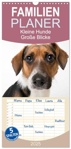 Familienplaner 2025 - Kleine Hunde - Große Blicke mit 5 Spalten (Wandkalender, 21 cm x 45 cm), CALVENDO von CALVENDO
