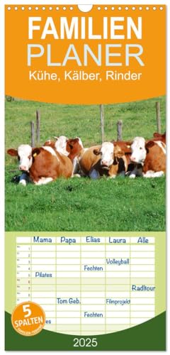 Familienplaner 2025 - Kühe, Kälber, Rinder mit 5 Spalten (Wandkalender, 21 cm x 45 cm), CALVENDO von CALVENDO