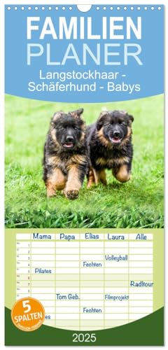 Familienplaner 2025 - Langstockhaar - Schäferhund - Babys mit 5 Spalten (Wandkalender, 21 cm x 45 cm), CALVENDO von CALVENDO