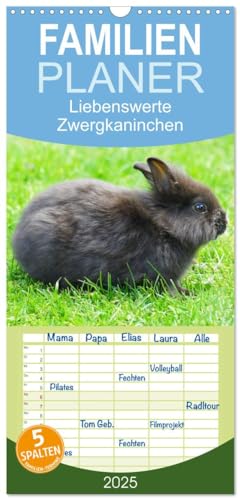 Familienplaner 2025 - Liebenswerte Zwergkaninchen mit 5 Spalten (Wandkalender, 21 cm x 45 cm), CALVENDO von CALVENDO
