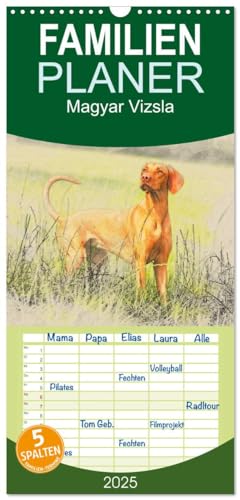 Familienplaner 2025 - Magyar Vizsla 2025 mit 5 Spalten (Wandkalender, 21 cm x 45 cm), CALVENDO von CALVENDO