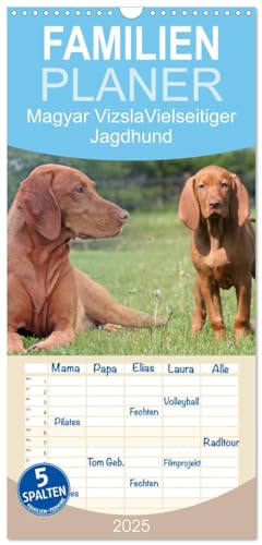 Familienplaner 2025 - Magyar Vizsla - Vielseitiger Jagdhund mit 5 Spalten (Wandkalender, 21 cm x 45 cm), CALVENDO von CALVENDO