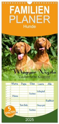 Familienplaner 2025 - Magyar Vizsla - Zauberhafte Kobolde mit 5 Spalten (Wandkalender, 21 cm x 45 cm), CALVENDO von CALVENDO