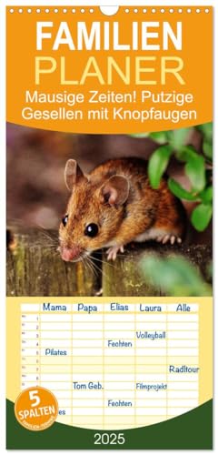 Familienplaner 2025 - Mausige Zeiten! Putzige Gesellen mit Knopfaugen mit 5 Spalten (Wandkalender, 21 cm x 45 cm), CALVENDO von CALVENDO