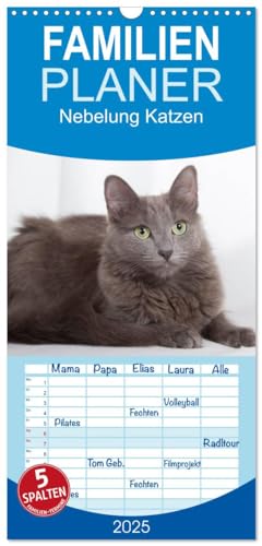 Familienplaner 2025 - Nebelung Katzen mit 5 Spalten (Wandkalender, 21 cm x 45 cm), CALVENDO von CALVENDO